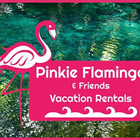 Anna'S Beach House Walk-Out To 30A In Seacrest- Pet-Friendly Rosemary Beach Εξωτερικό φωτογραφία